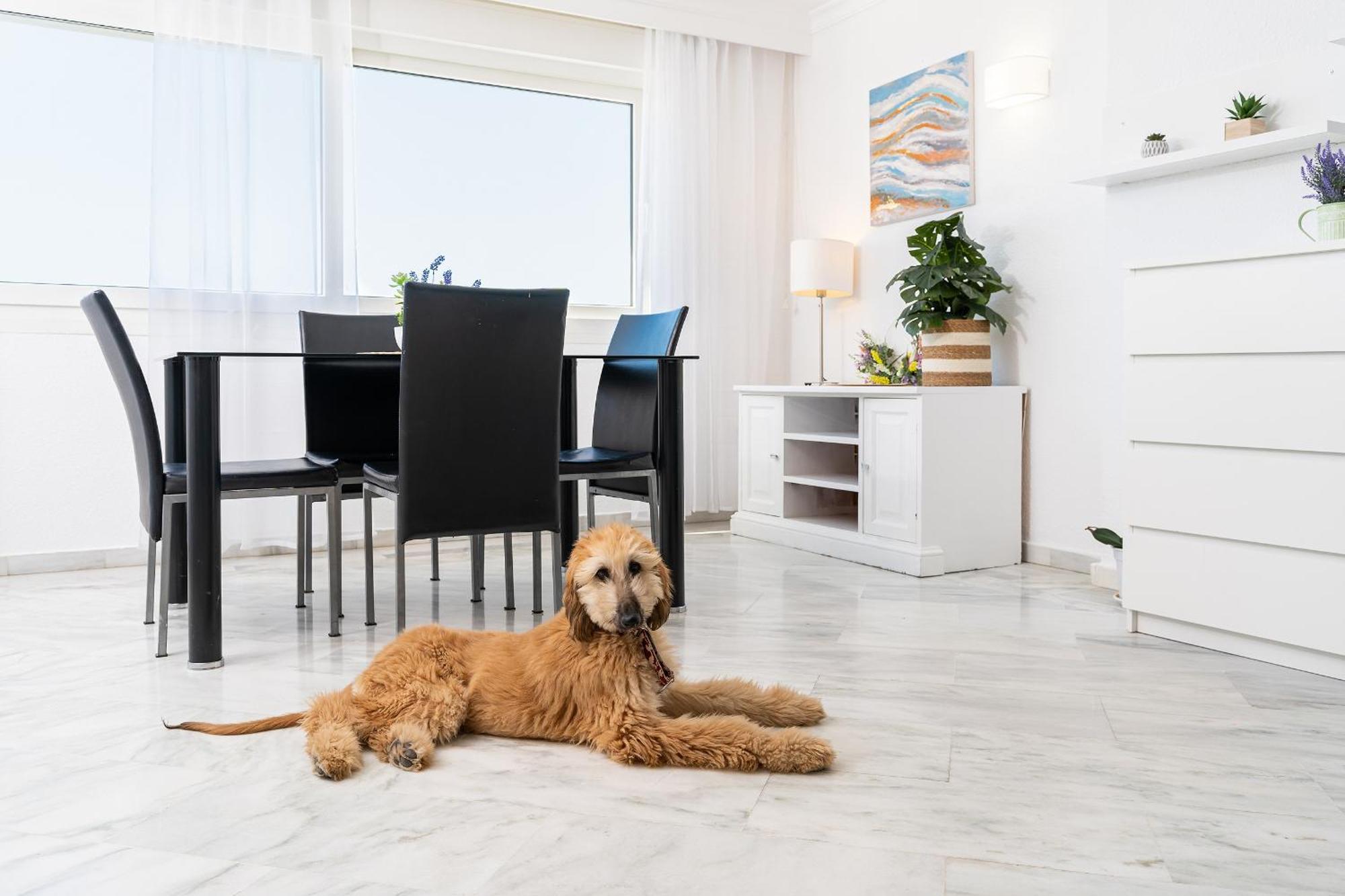 Monko Bora Bora Apartment Benalmadena Bagian luar foto